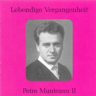 Lebendige Vergangenheit - Petre Munteanu (Vol.2) by Petre Munteanu