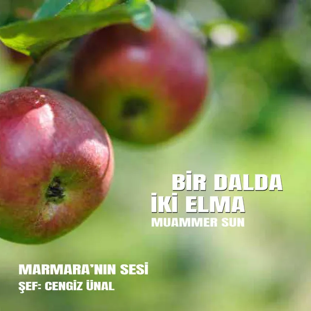 Bir Dalda İki Elma