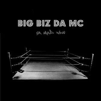 Ya Mad Now by Big Biz da MC