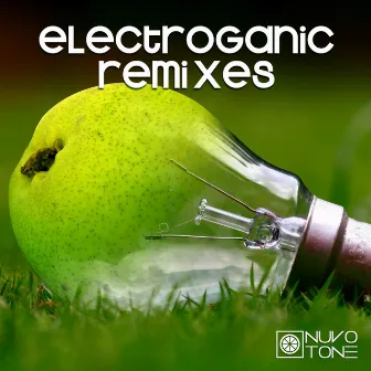 Electroganic Remixes by Aaron Waldberg