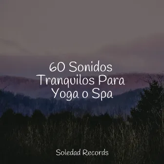 60 Sonidos Tranquilos Para Yoga o Spa by Canciones de Cuna 101