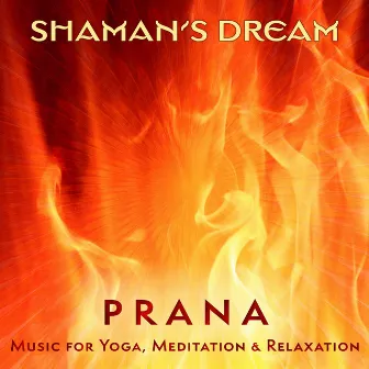 Prana: Music for Yoga, Meditation & Relaxation by Shaman's Dream