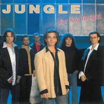 For You Tonight by JUNGLE