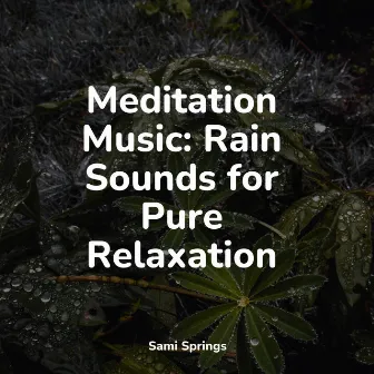 Meditation Music: Rain Sounds for Pure Relaxation by Sleepy Night Music