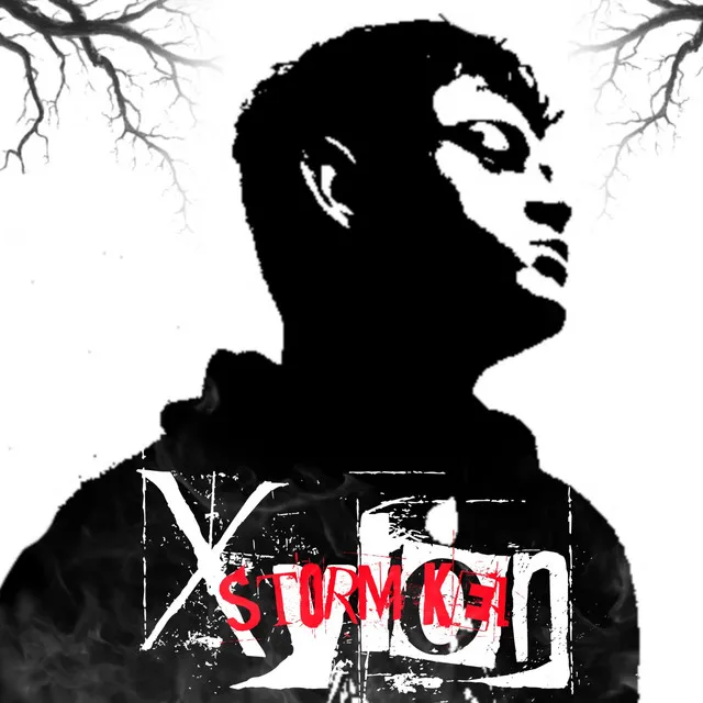 Xylon