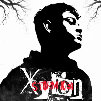 Xylon by Storm kei