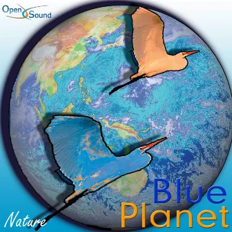 Blue Planet (Nature) by Silvio Piersanti