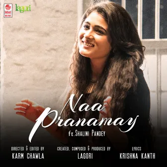 Naa Pranamay by Tejas Shankar