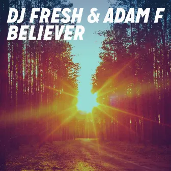 Believer (Remixes) by Adam F