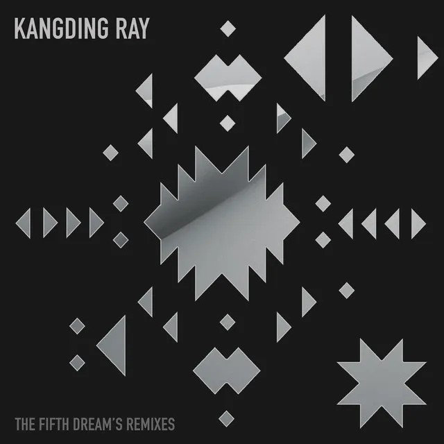 Reptilian Waves - Kangding Ray Rework