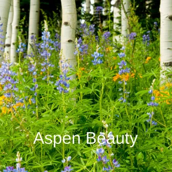 Aspen Beauty by Deep Walls