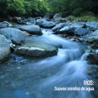 R?os: Suaves sonidos de agua by Work Music Universe