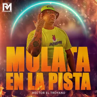 Mulata En La Pista by Hector El Troyano