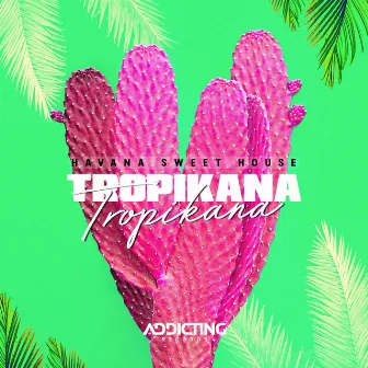 Tropikana by Havana Sweet House