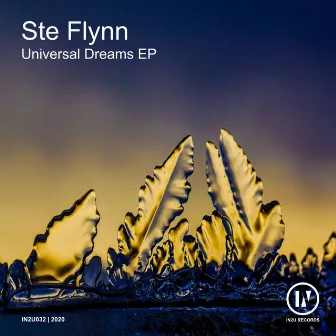 Universal Dreams by Ste Flynn