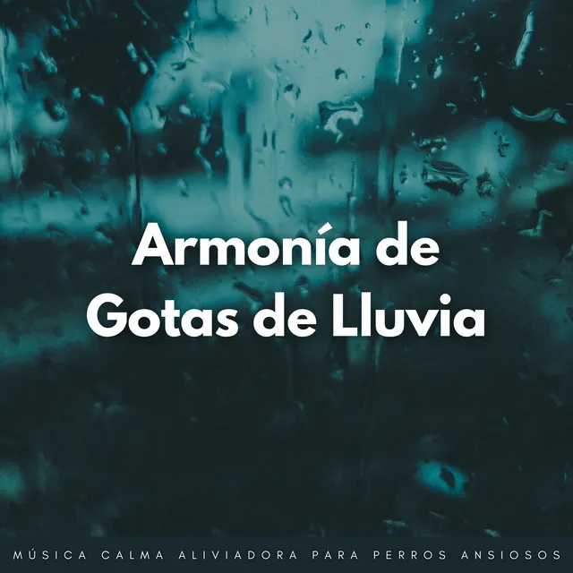 Canciones De Cuna Para Perros Con Ritmos De Lluvia