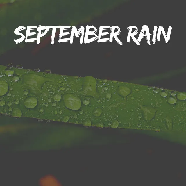 September Rain, Pt. 11