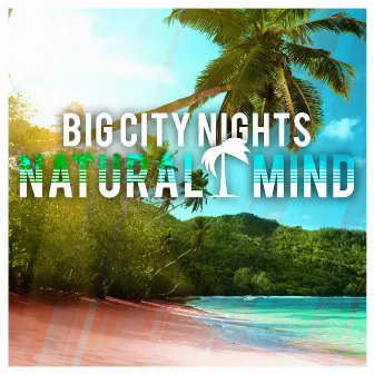 Big City Nights by Natural Mind