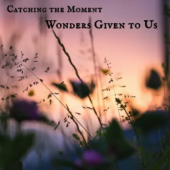 Wonders Given to Us by Catching the Moment