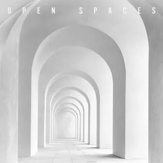 Open Spaces by David Kelly