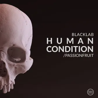 Human Condition by Blacklab