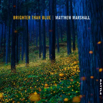 Brighter Than Blue by Matthew Marshall