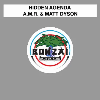 Hidden Agenda by Matt Dyson