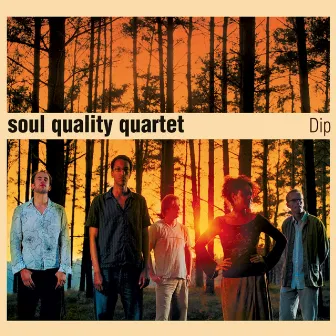 Dip by Soul Quality Quartet