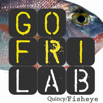 Quincy / Fisheye by Gofrilab