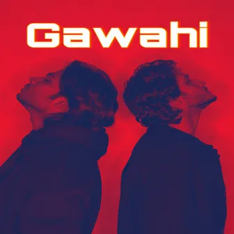 Gawahi by THE SHAMS