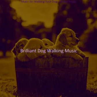 Music for Walking Your Dog - Guitar Music by 