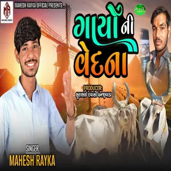 Gayo Ni Ved Na by Mahesh Rayka