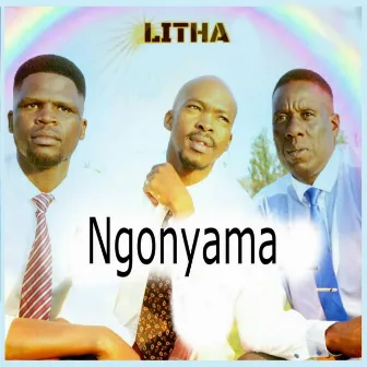 Ngonyama by Litha