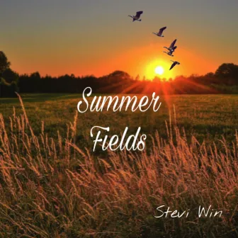 Summer Fields by Stevi Win