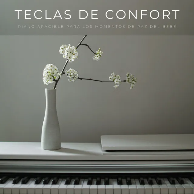 Teclas De Confort: Piano Apacible Para Los Momentos De Paz Del Bebé