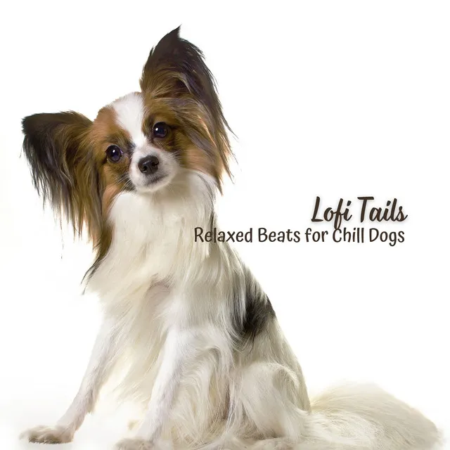 Lofi Tails: Relaxed Beats for Chill Dogs