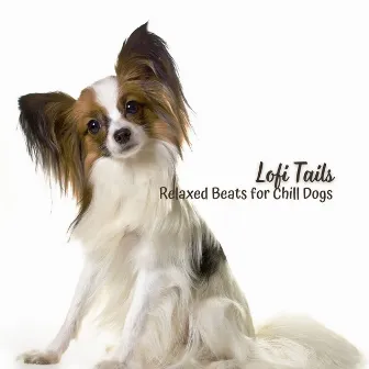 Lofi Tails: Relaxed Beats for Chill Dogs by Dogs Music Therapy