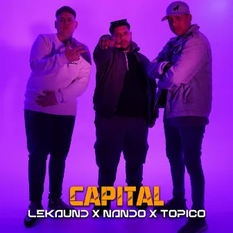 Capital by Nando