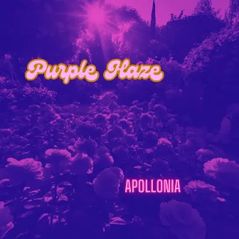 Purple Haze by Apollonia