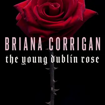 The Young Dublin Rose by Briana Corrigan