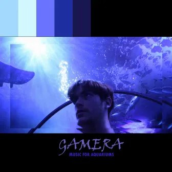 Music for Aquariums by Gamera