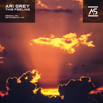 This Feeling by Ari Grey