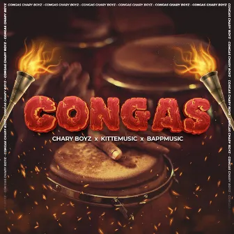 Congas by Kittemusic