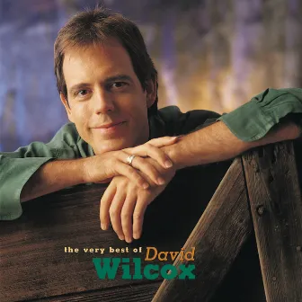 The Very Best Of David Wilcox by David Wilcox