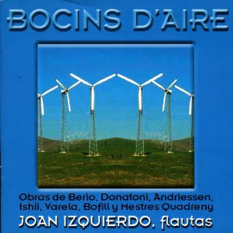 Bocins d'Aire by Joan Izquierdo