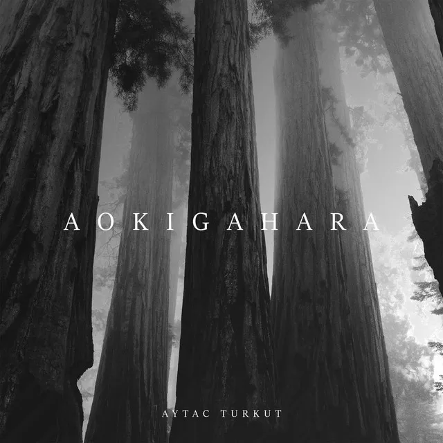 Aokigahara