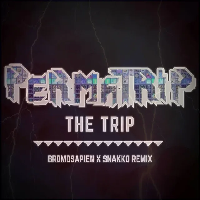 The Trip (Remix)