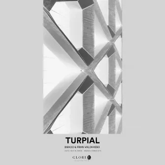 Turpial by Draco