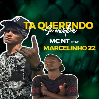 Ta Querendo Se Envolver by Dj Marcelinho 22