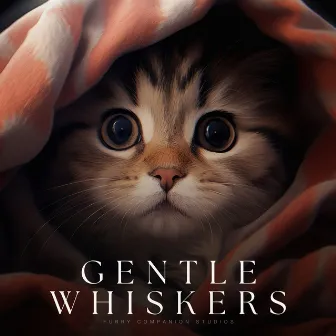 Gentle Whiskers by Unknown Artist